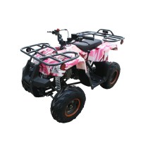 blazer-110u_1