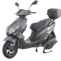 falcongio