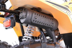 7L2A9080
