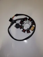 Blazer 200HS Stator - TAO TAO MOTOR / GIO PARTS - PBCB200STATOR