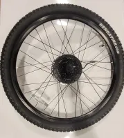 Complete Rear Wheel w/ motor (Gio Peak)