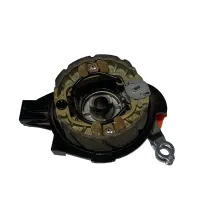 Rear Drum Brake