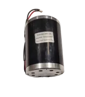 48V 1000W Motor
